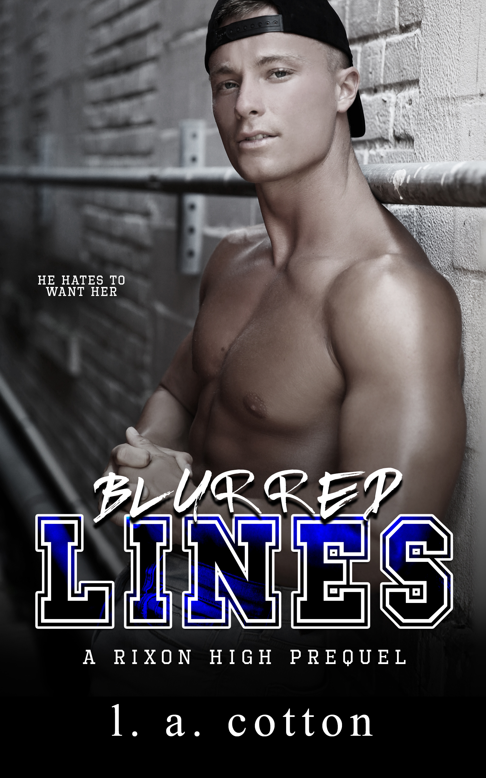 Blurred Lines book cover