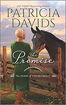 The Amish of Cedar Grove book cover 3