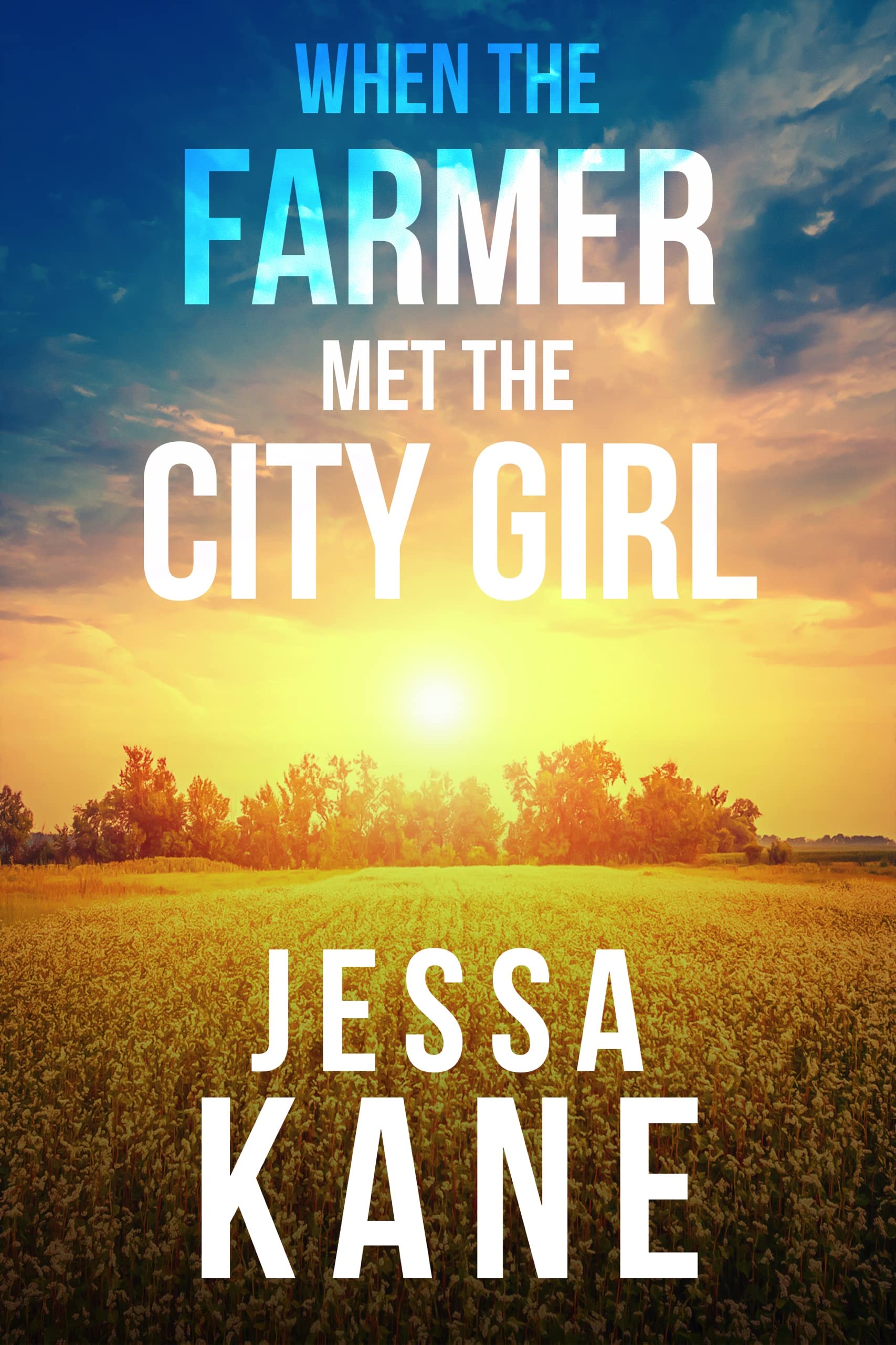 When the Farmer Met the City Girl book cover