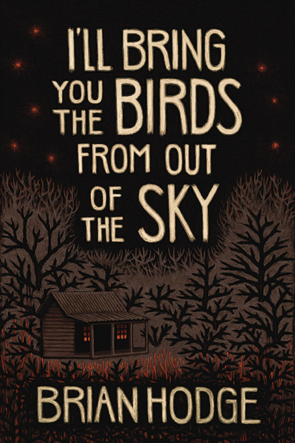 I'll Bring You the Birds from Out of the Sky book cover
