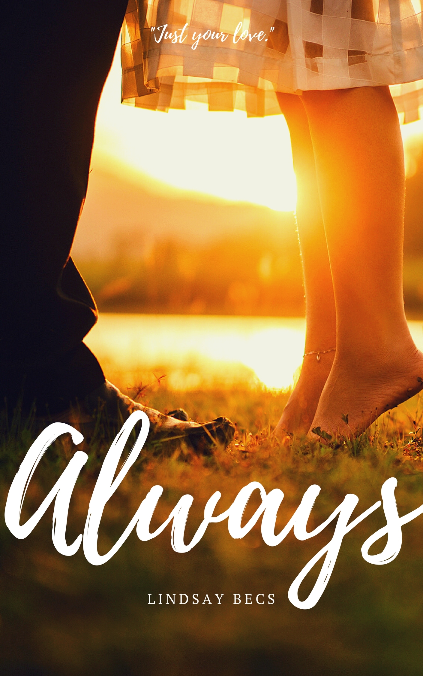 Always book cover 1