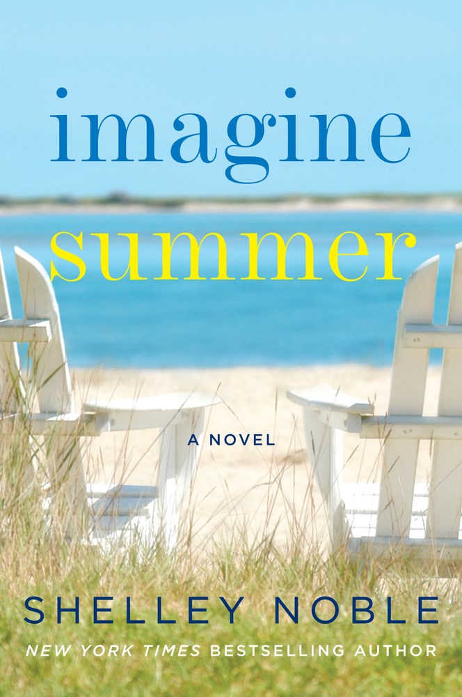 Imagine Summer book cover