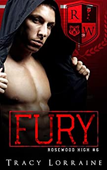 Fury book cover