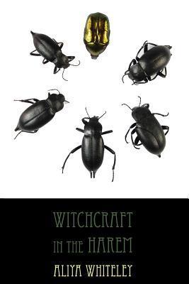 Witchcraft in the Harem book cover