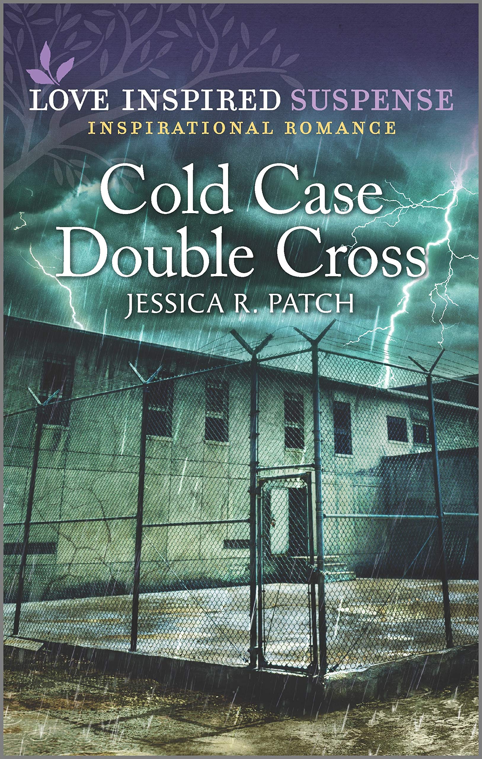 Cold Case Investigators book cover 2