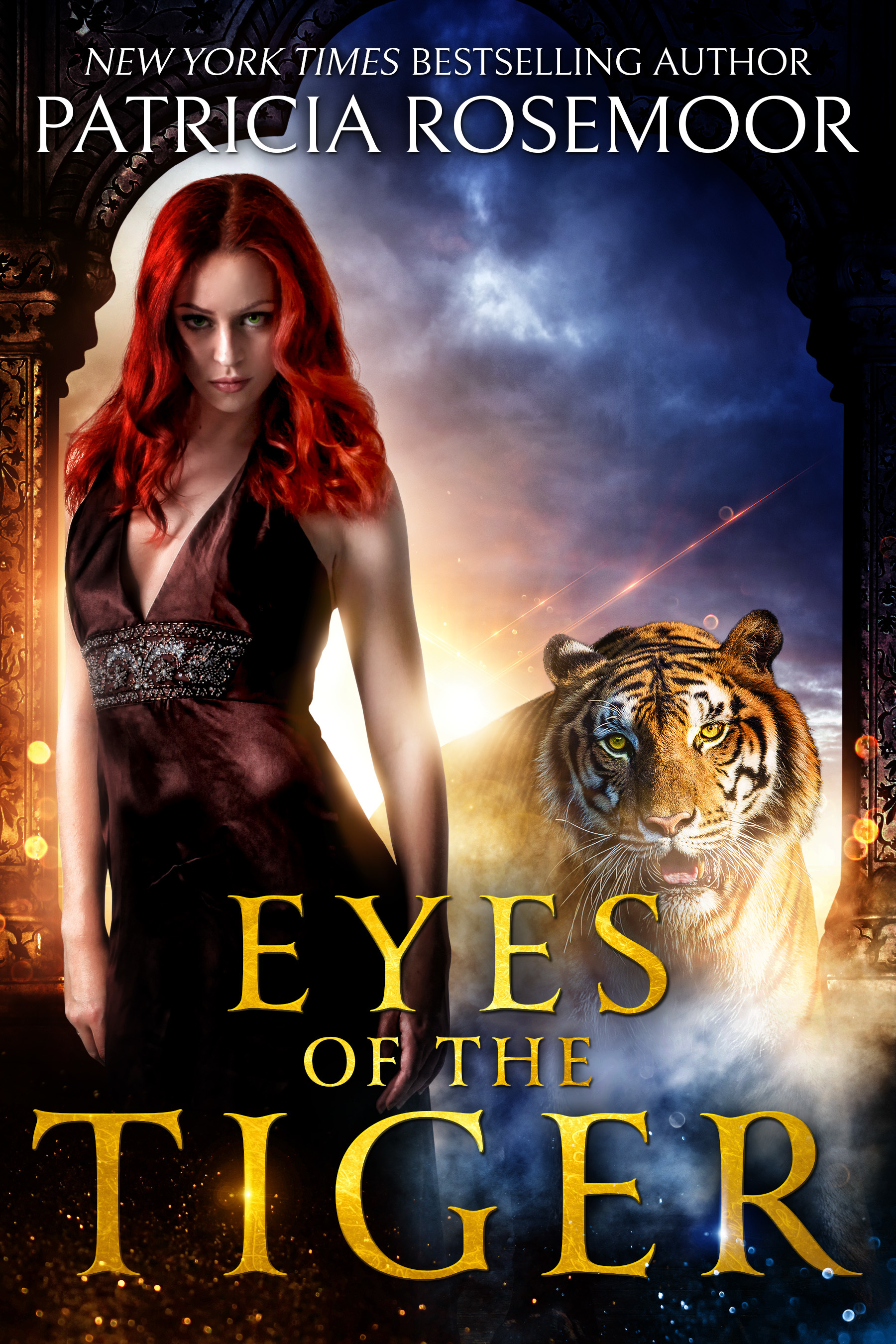 Eyes of the Tiger book cover