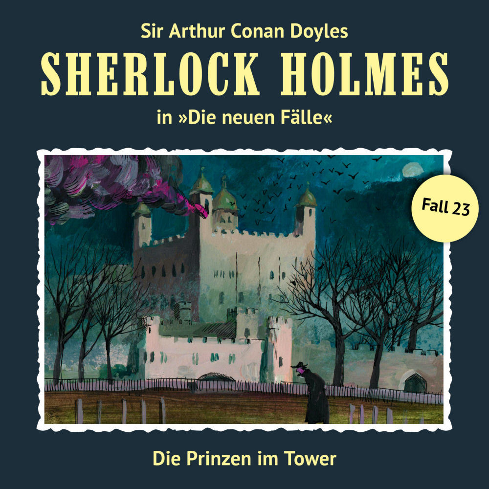Die Prinzen im Tower book cover