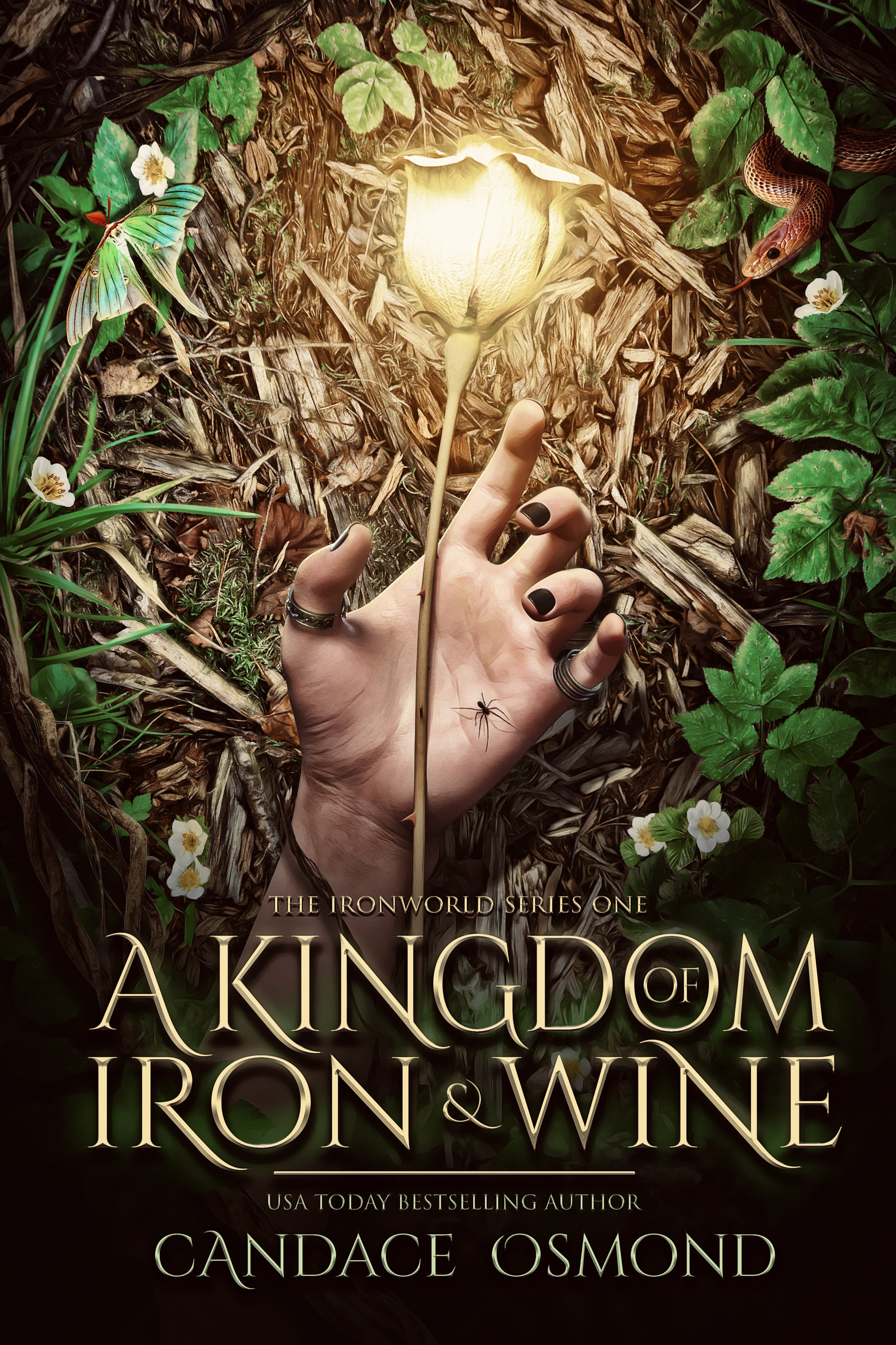 The Iron World book cover 1
