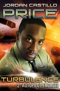 Turbulence book cover 2