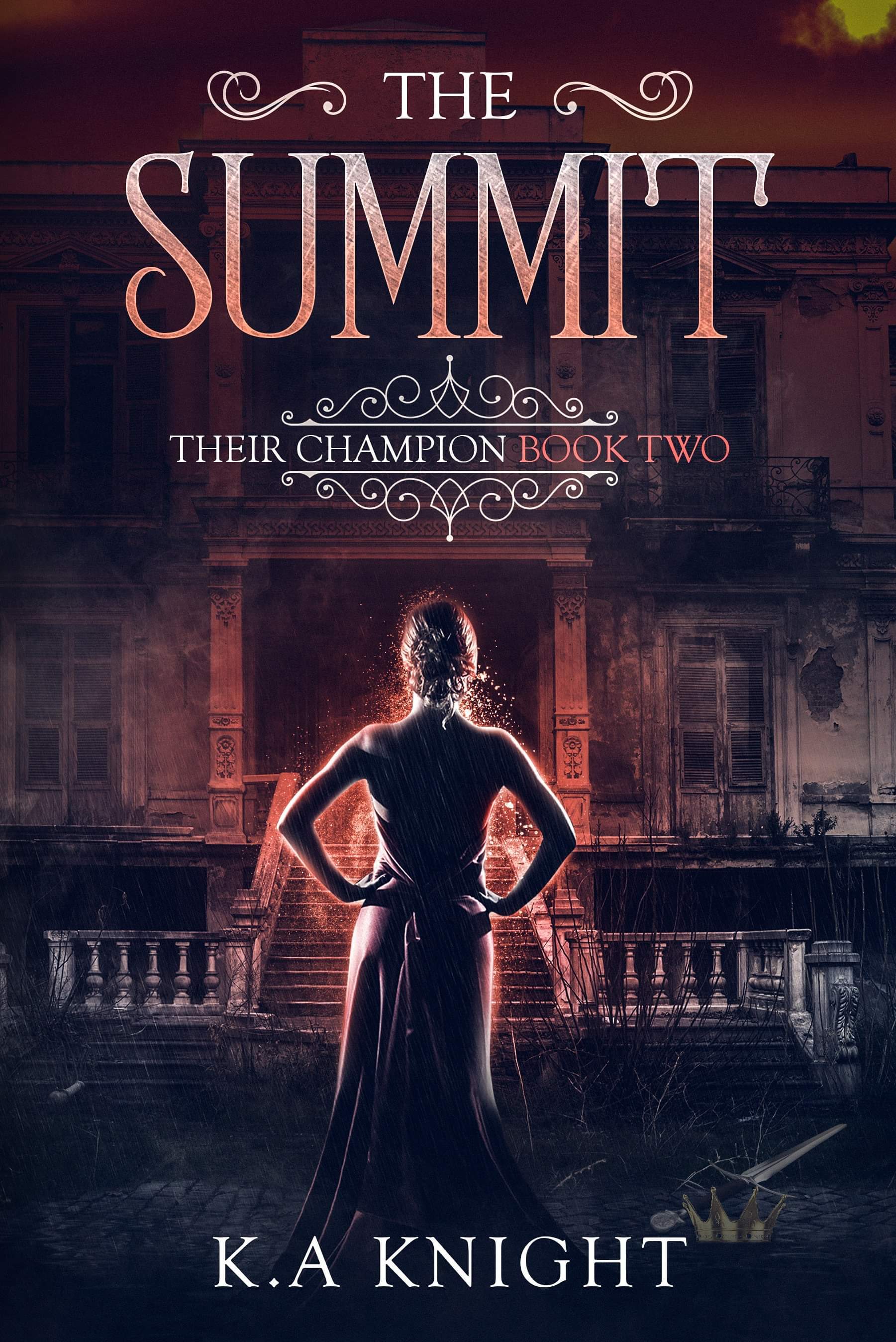Their Champion book cover 2