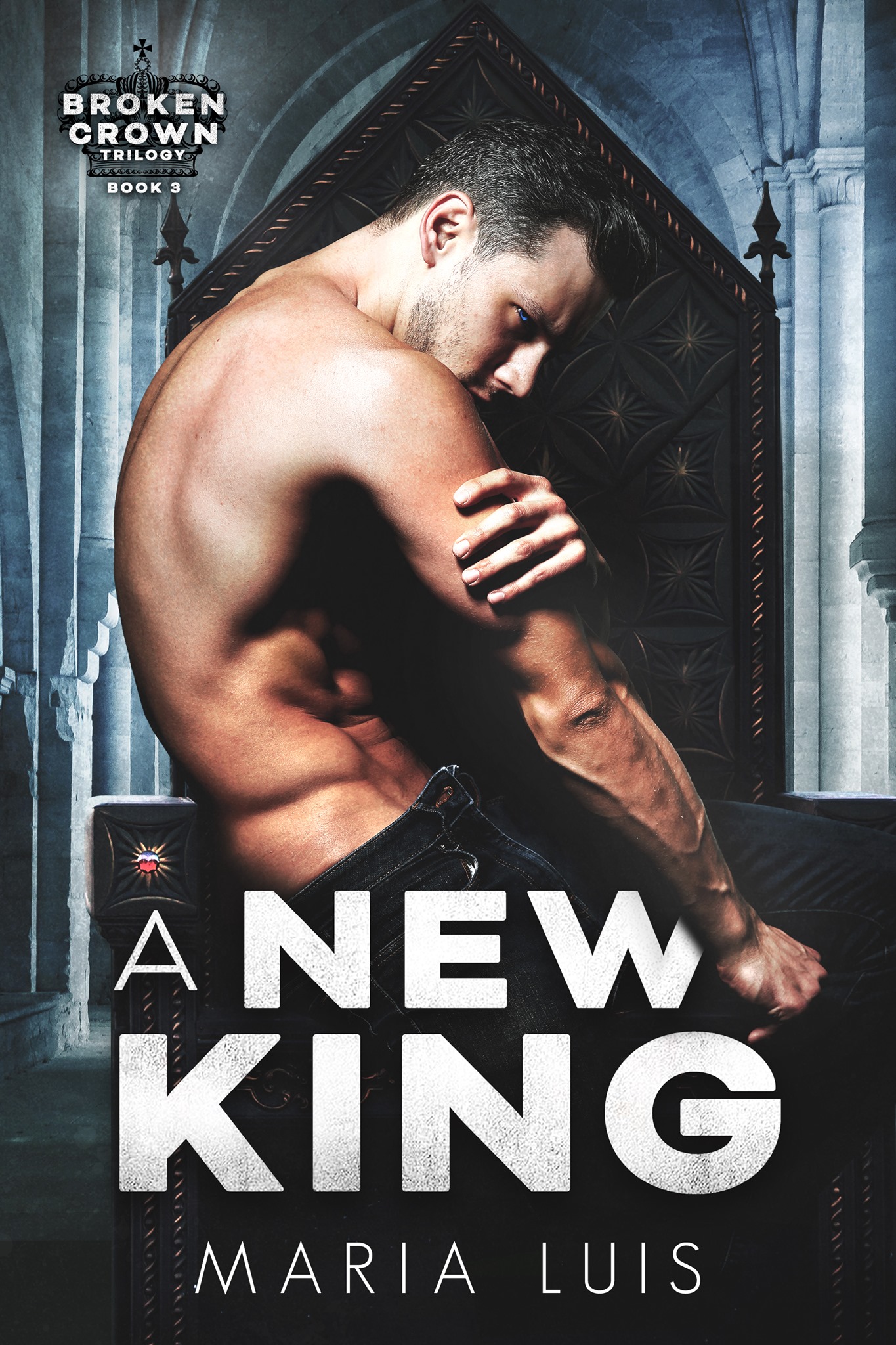 A New King book cover