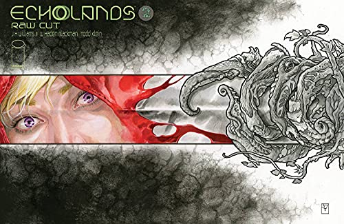 Echolands book cover 2
