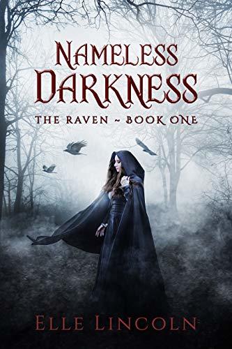 Nameless Darkness book cover