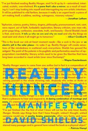 Reality Hunger book cover