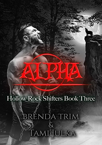 Hollow Rock Shifters book cover 3
