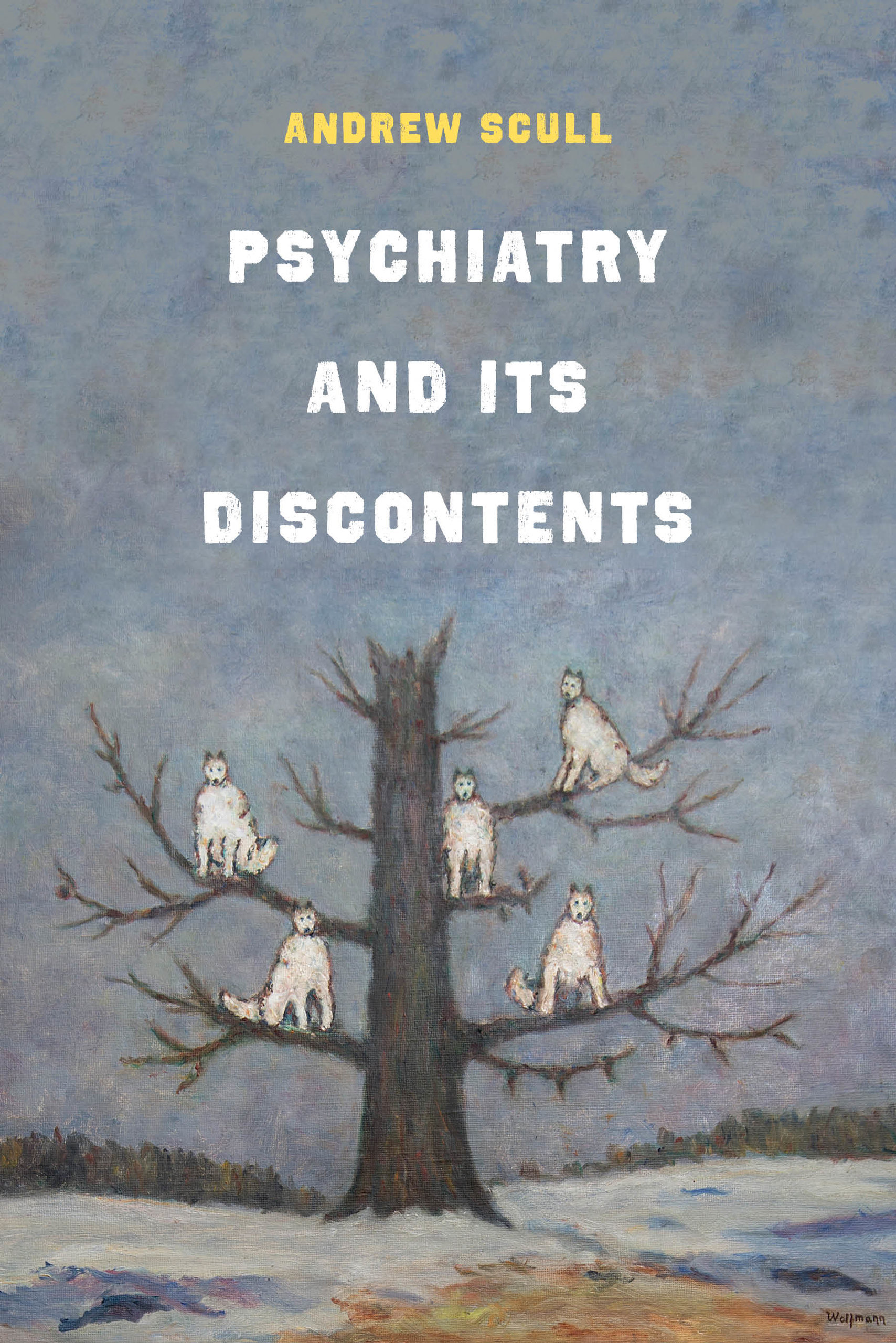 Psychiatry and Its Discontents book cover