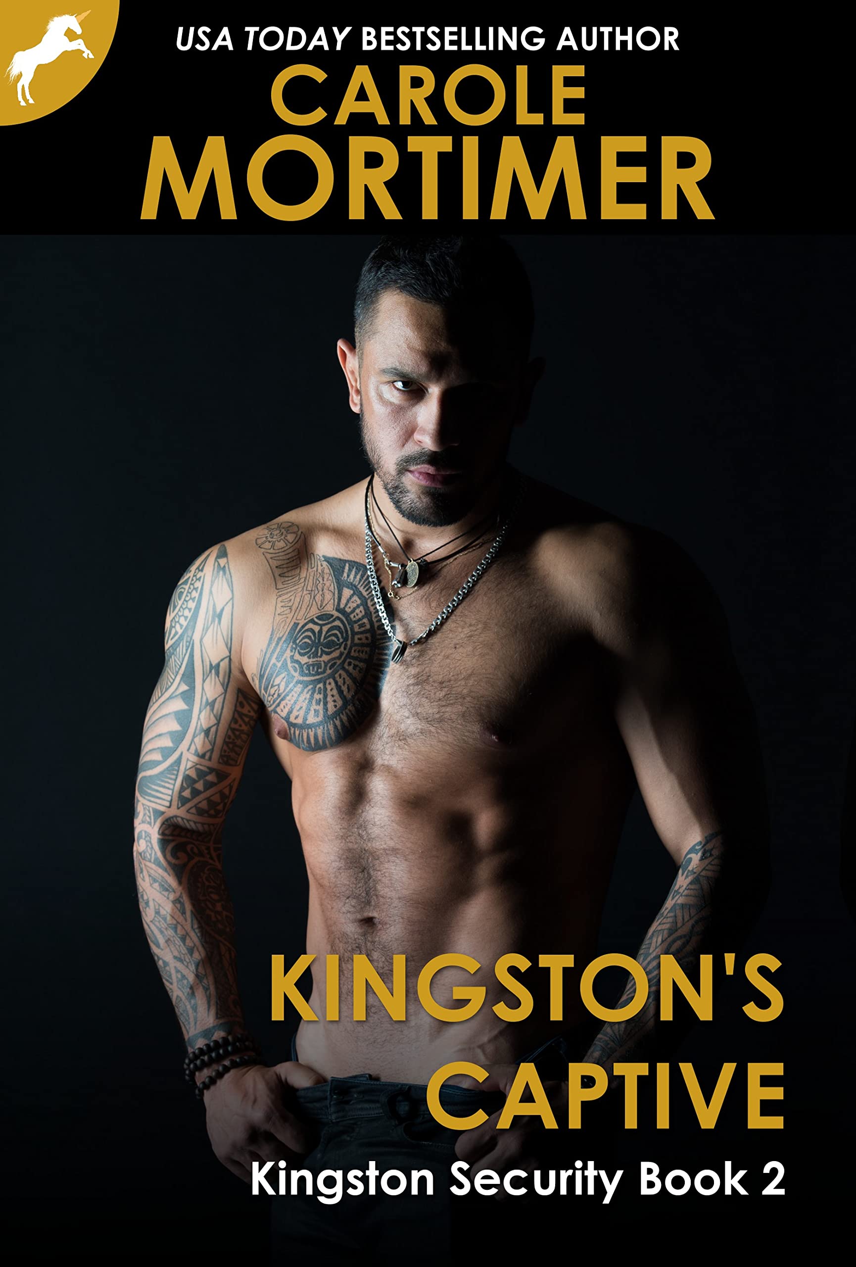 Kingston Security book cover 2