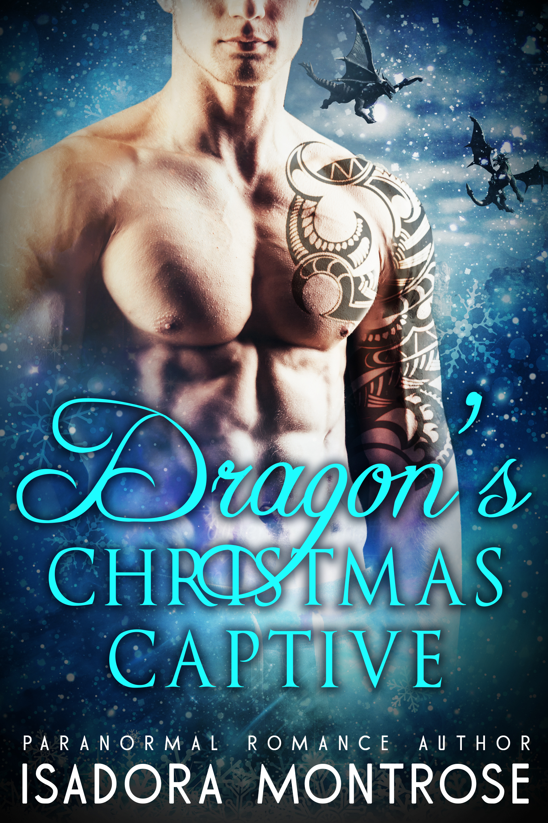 Dragon's Christmas Captive book cover