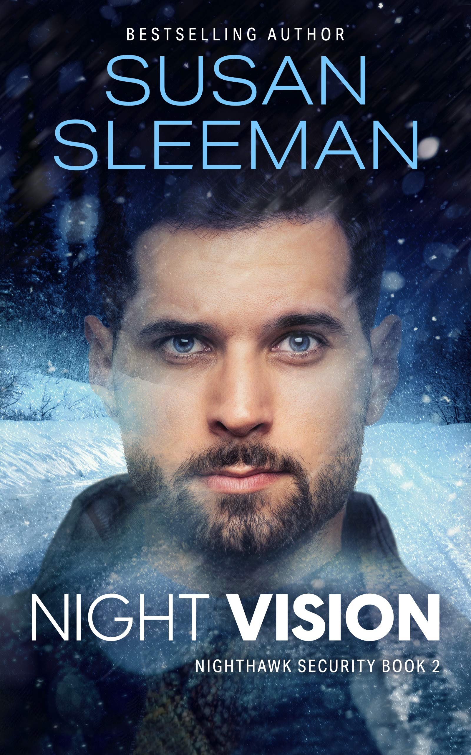 Nighthawk Security book cover 2