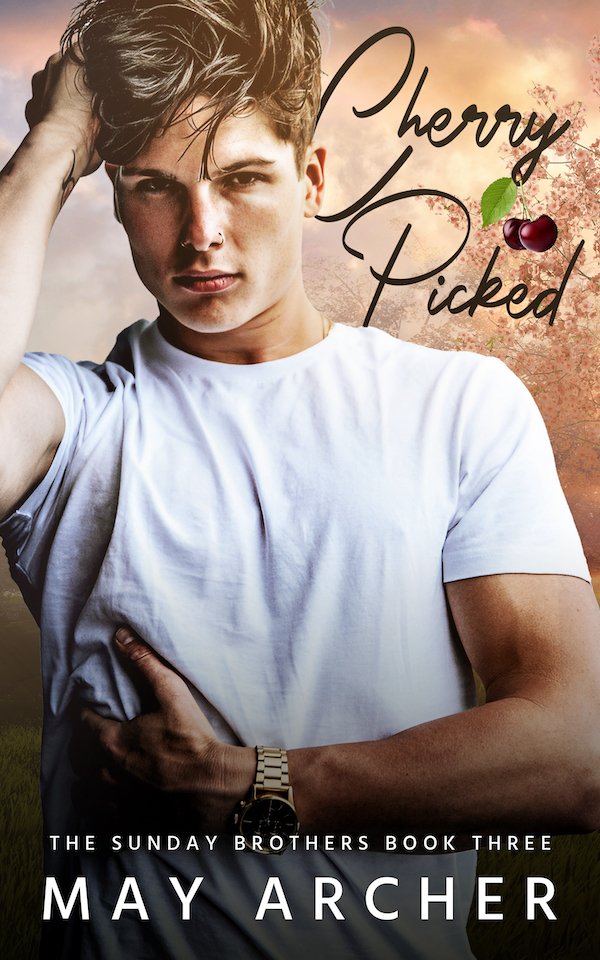 Sunday Brothers book cover 3