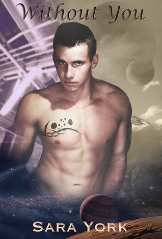 Without You book cover