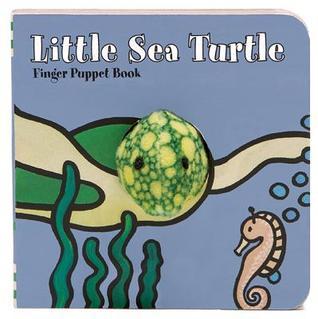 Little Sea Turtle book cover