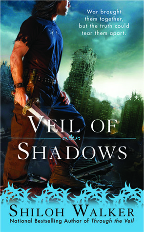 Veil book cover 2