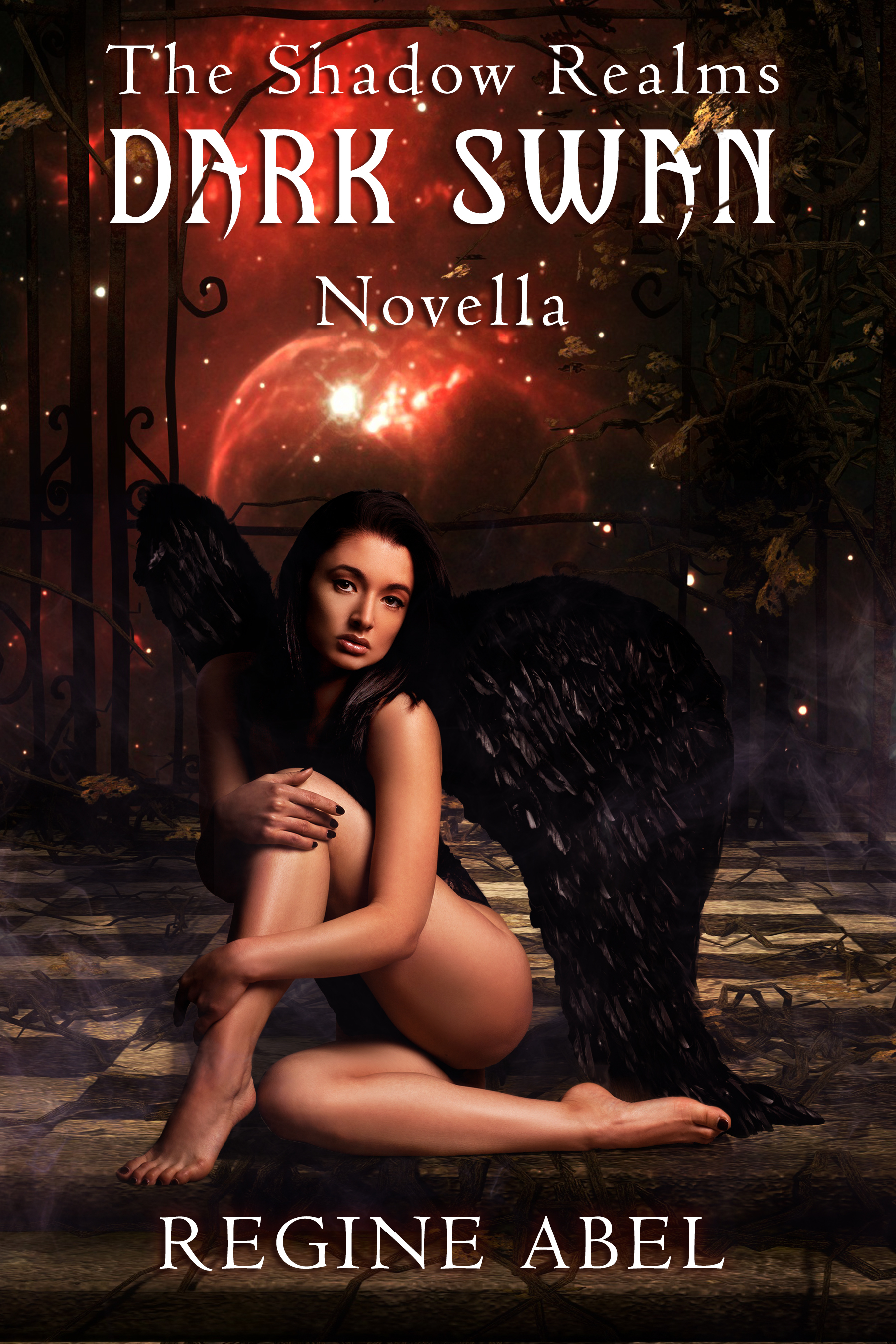 Dark Swan book cover