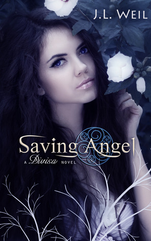 Divisa book cover 1