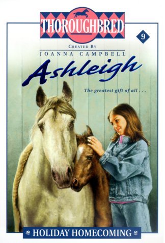 Holiday Homecoming book cover