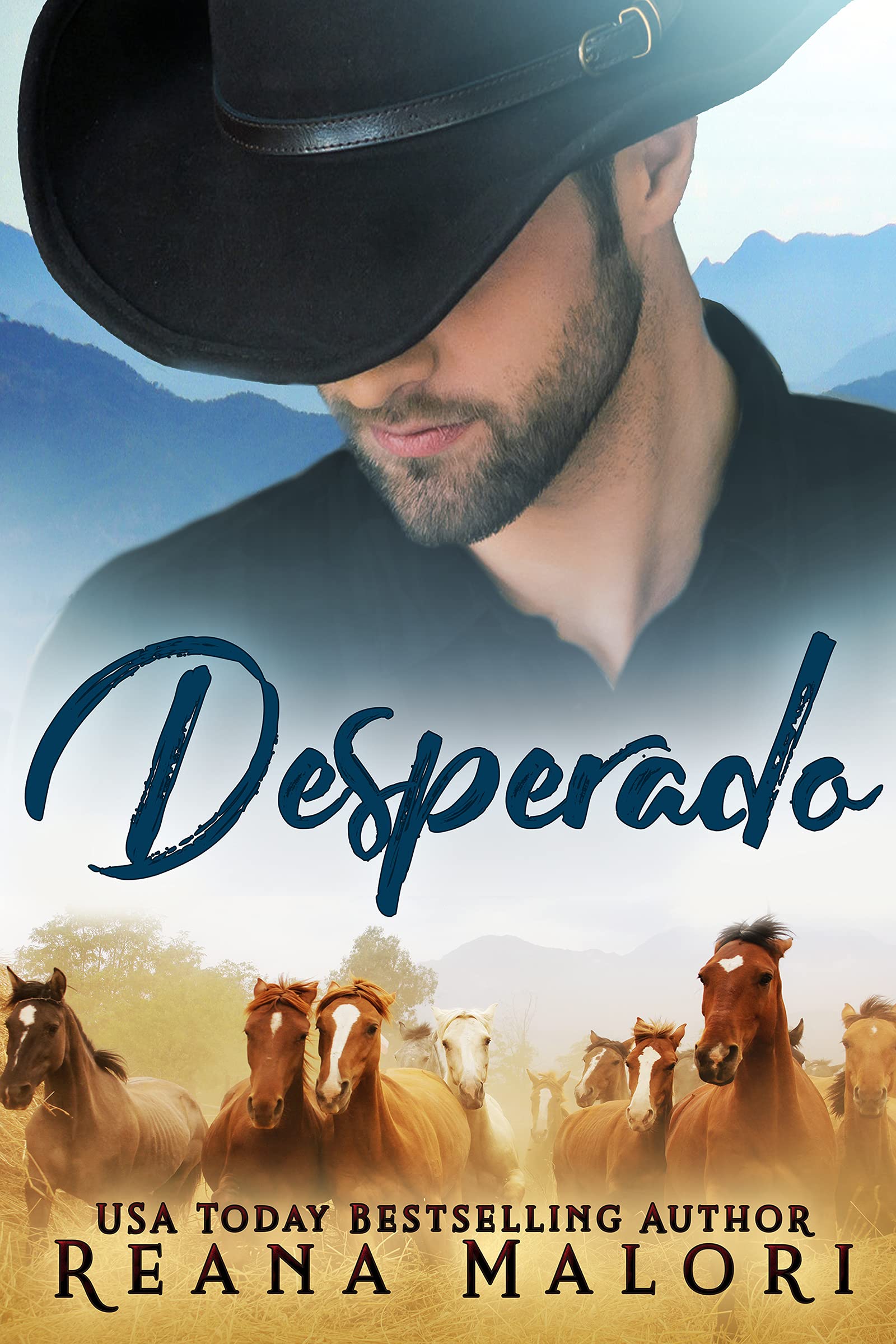 Desperado book cover
