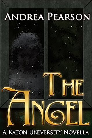 The Angel book cover