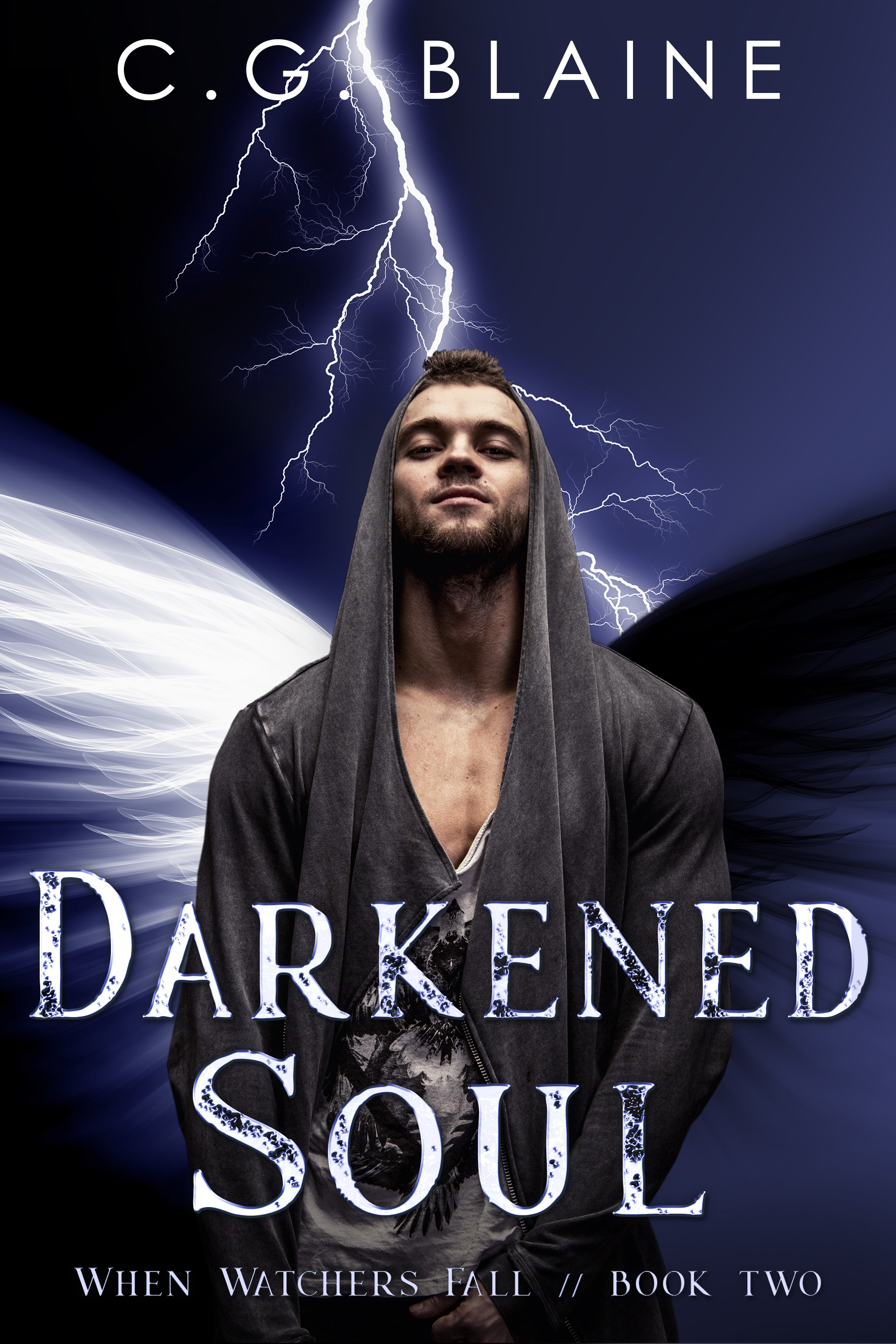When Watchers Fall book cover 2