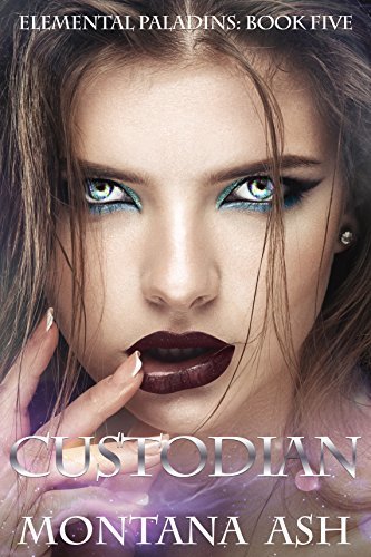 Custodian book cover