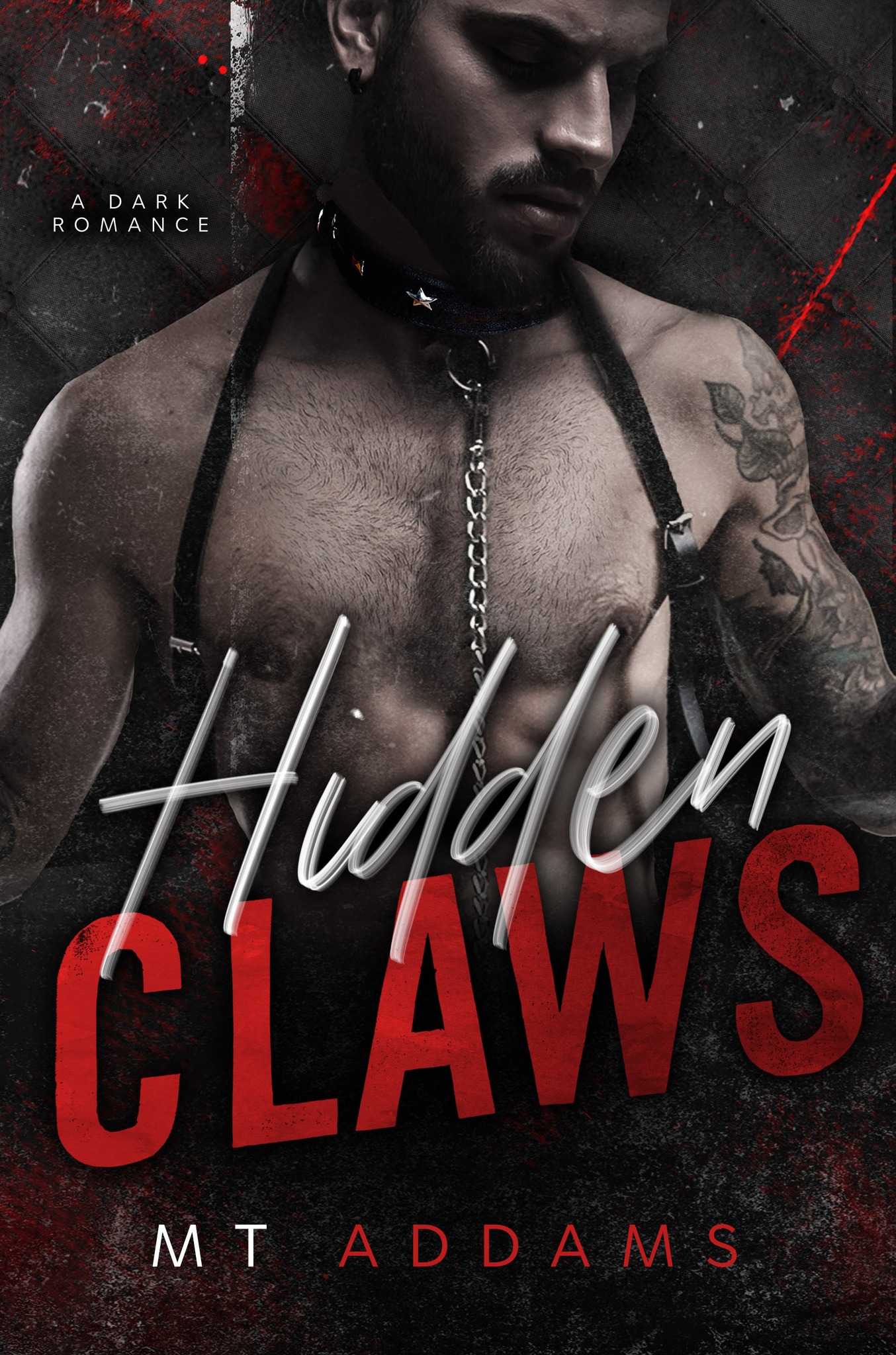 Hidden Claws book cover
