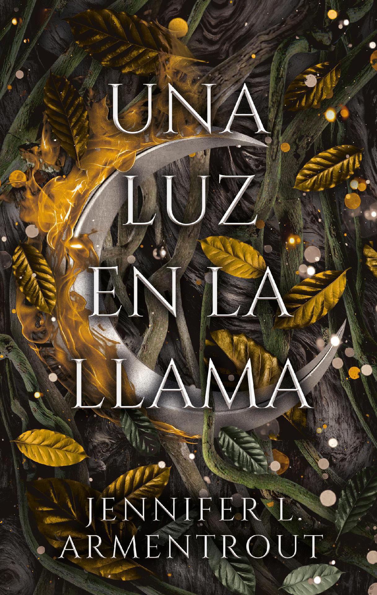 A Light in the Flame book cover
