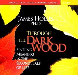 Through the Dark Wood book cover