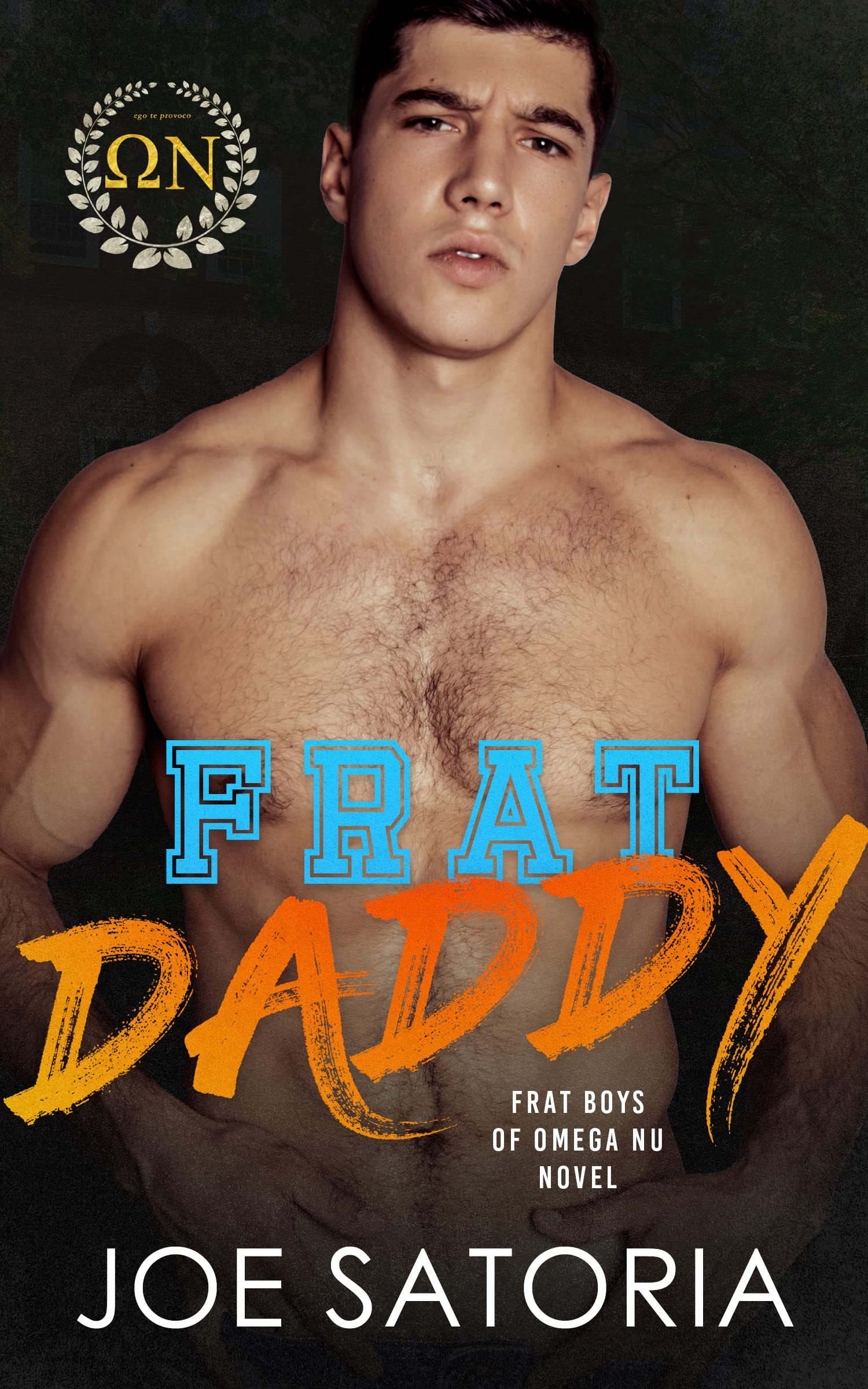 Frat Daddy book cover
