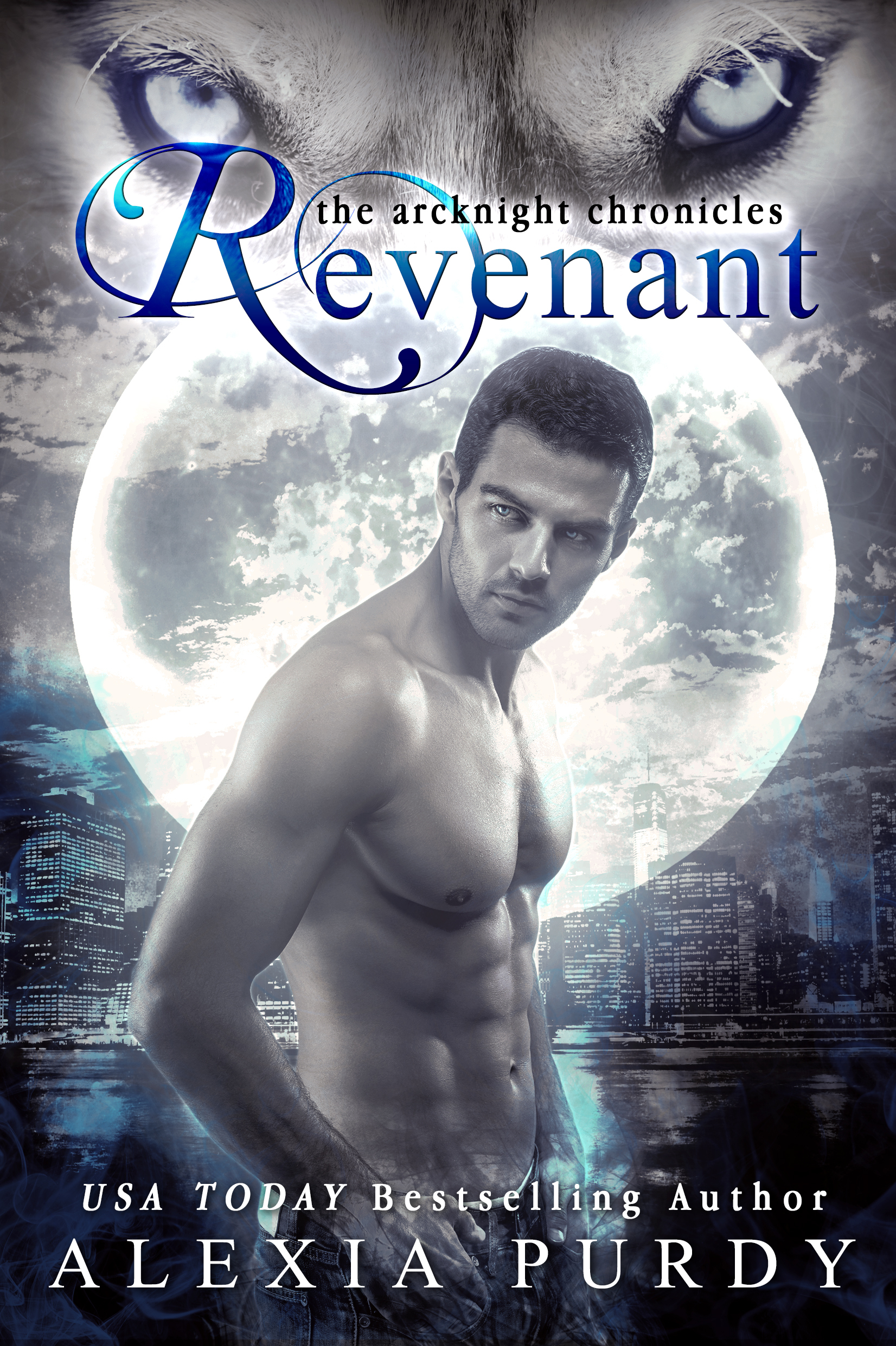The ArcKnight Chronicles book cover 2