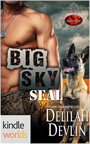 Big Sky SEAL book cover