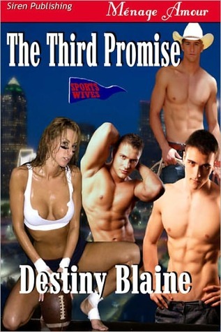 The Third Promise book cover