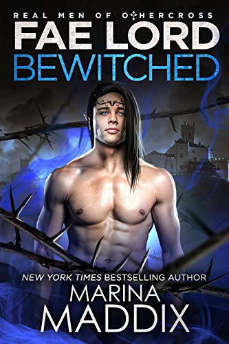 Fae Lord Bewitched book cover