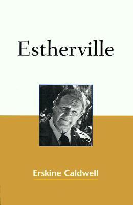 Place Called Estherville book cover