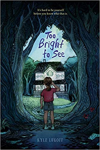 Too Bright to See book cover