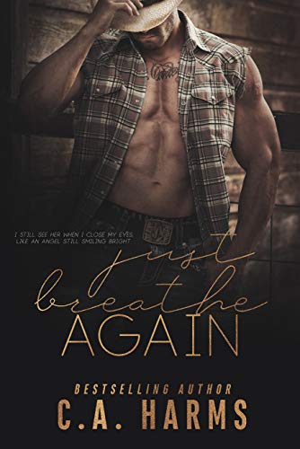 Just Breathe Again book cover