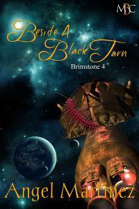 Beside a Black Tarn book cover