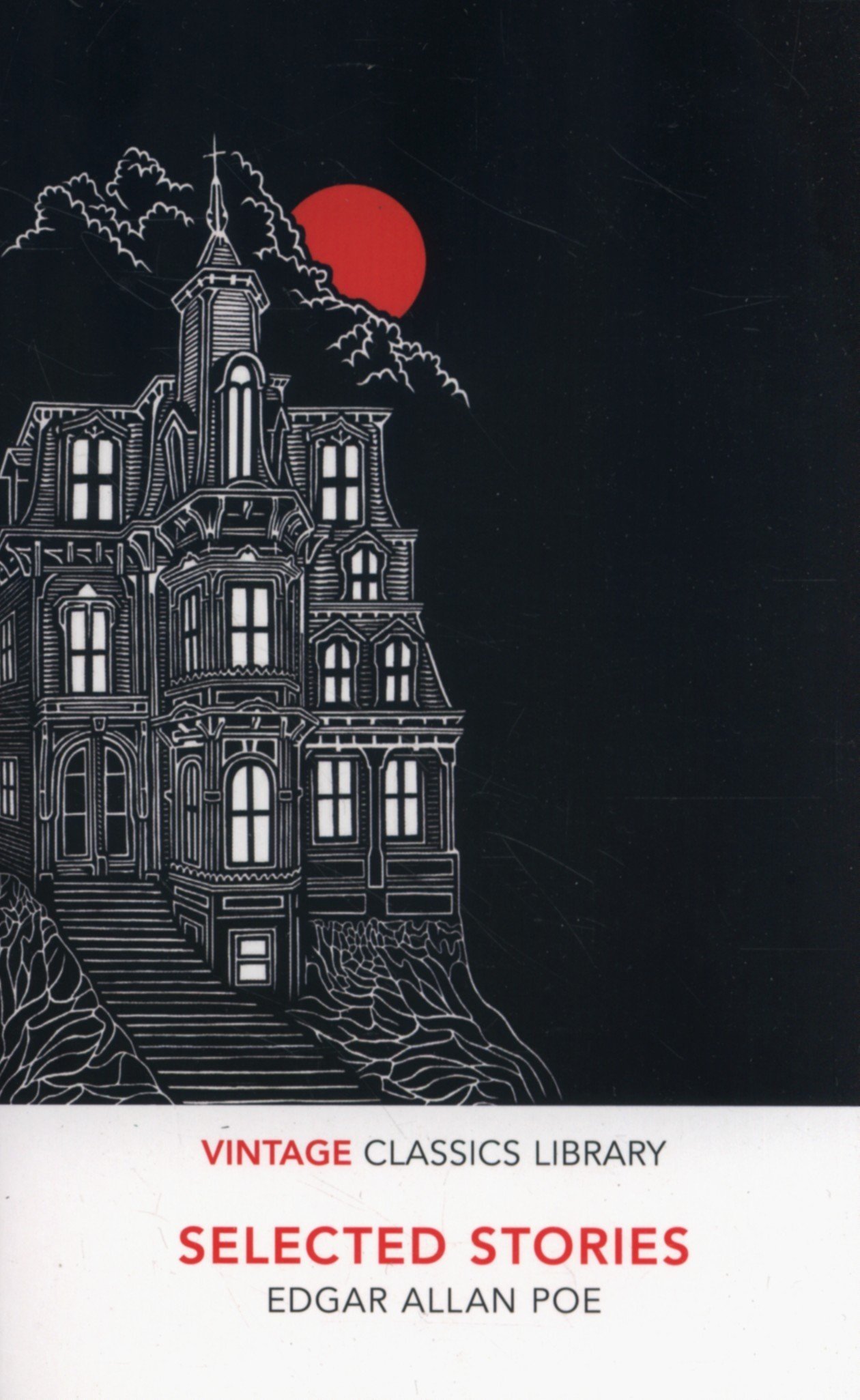 Selected Stories book cover