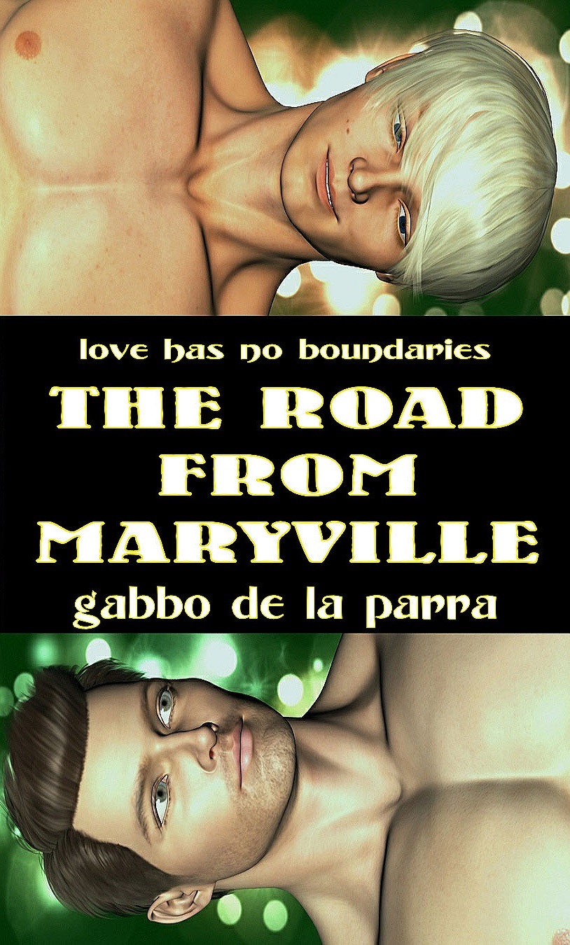 The Road from Maryville book cover