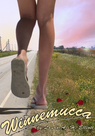 Winnemucca, a small-town fairy tale book cover