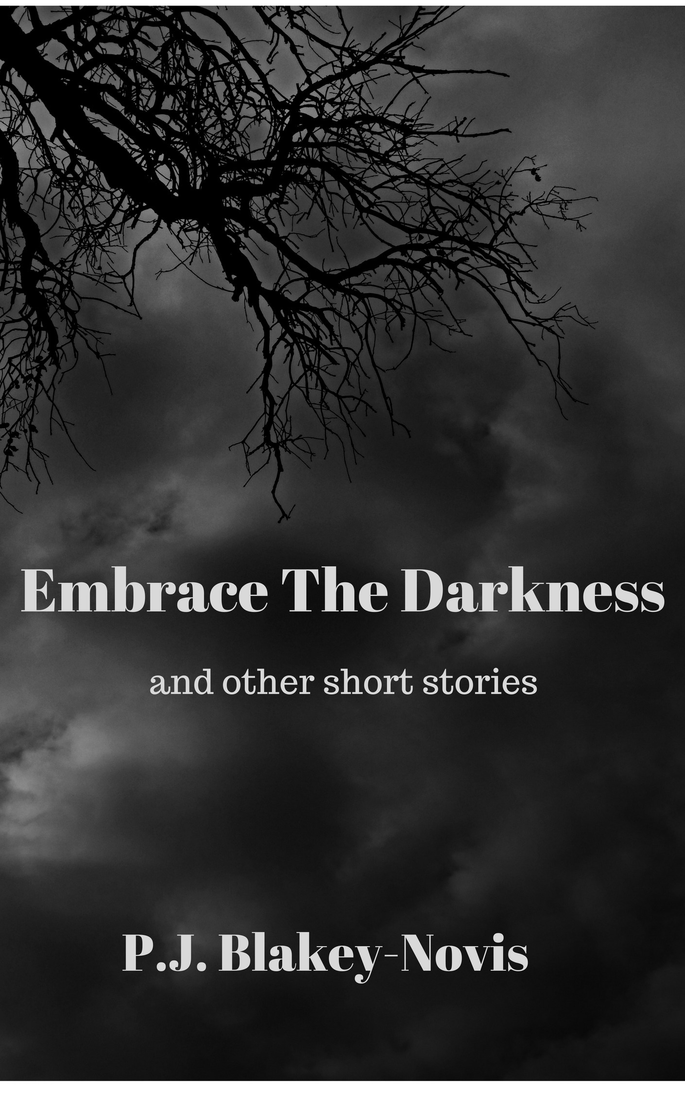 Embrace The Darkness, and Other Short Stories book cover